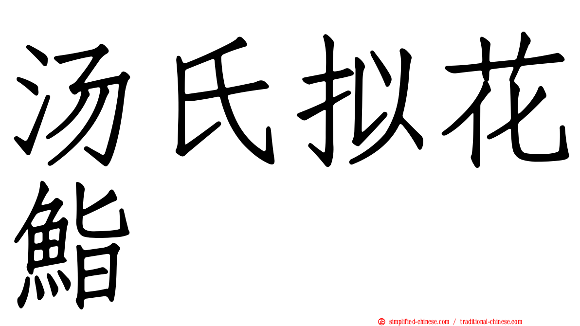 汤氏拟花鮨