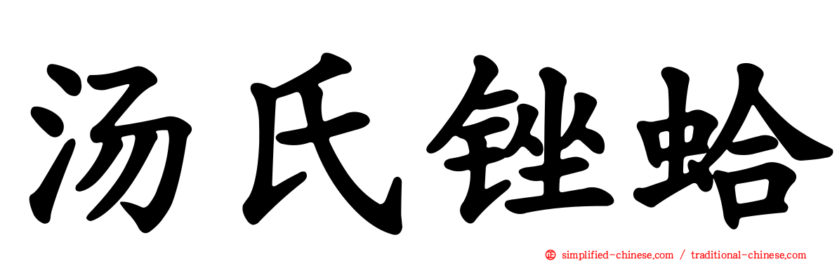 汤氏锉蛤