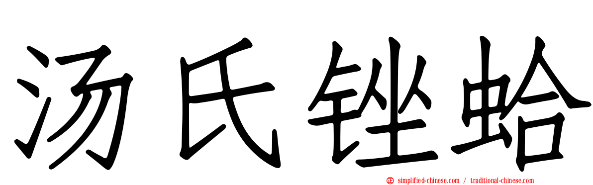 汤氏锉蛤