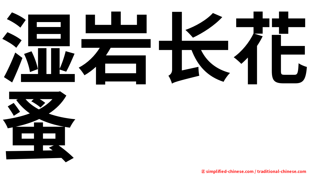 湿岩长花蚤