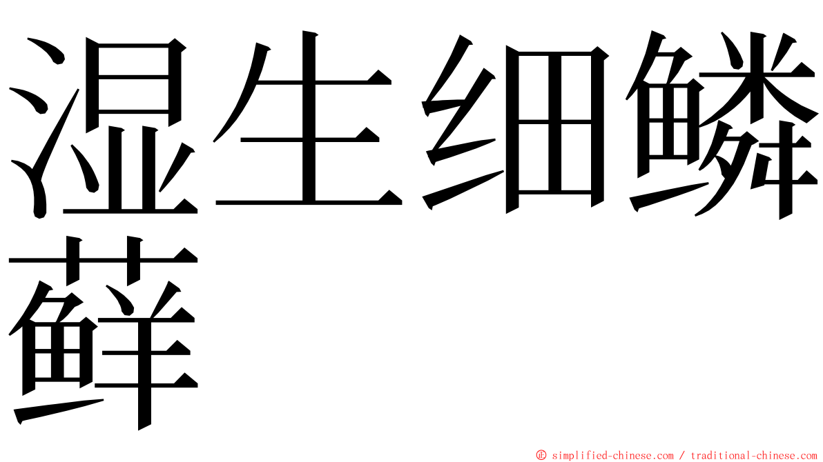 湿生细鳞藓 ming font