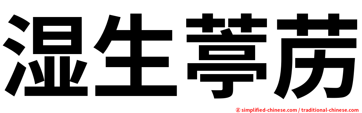 湿生葶苈