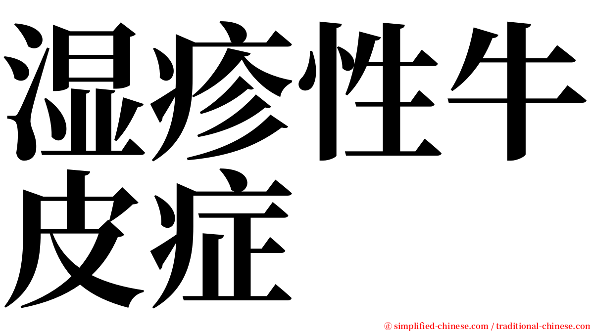 湿疹性牛皮症 serif font