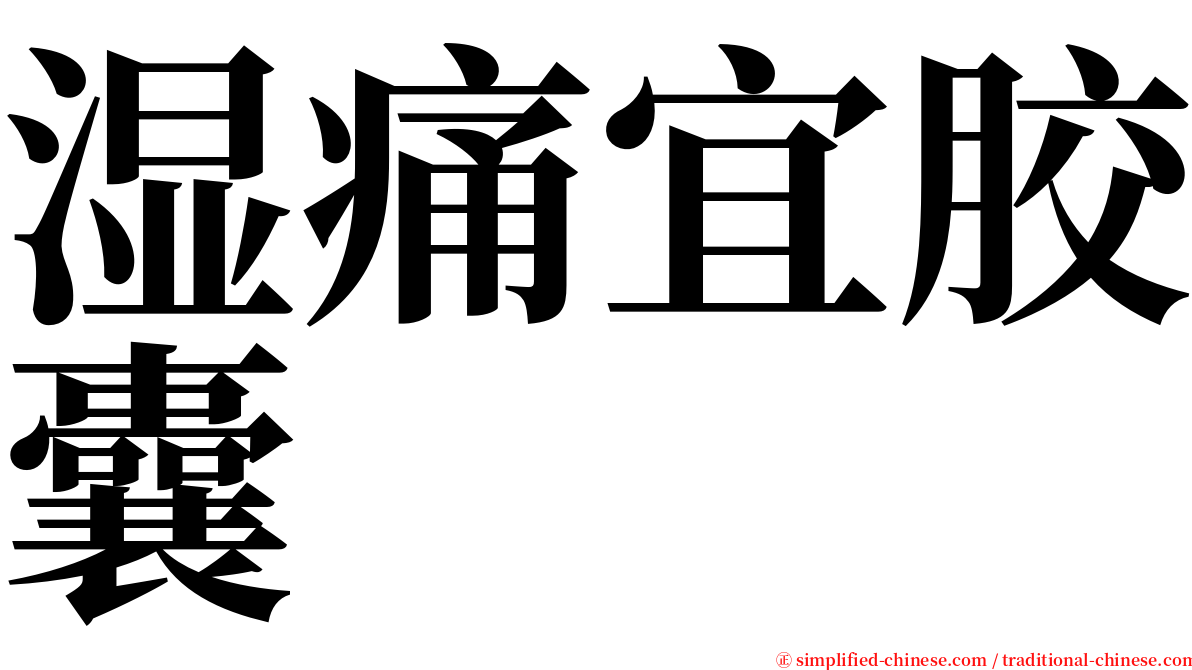 湿痛宜胶囊 serif font