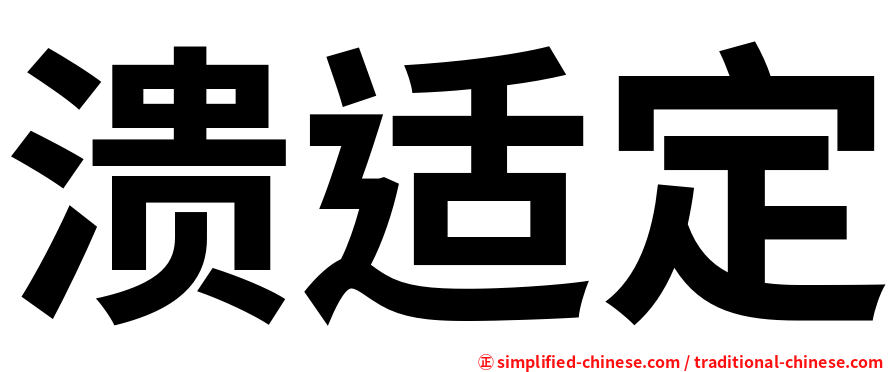溃适定