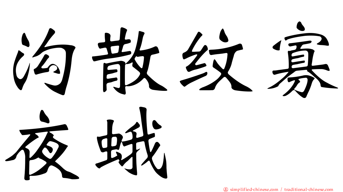 沟散纹寡夜蛾