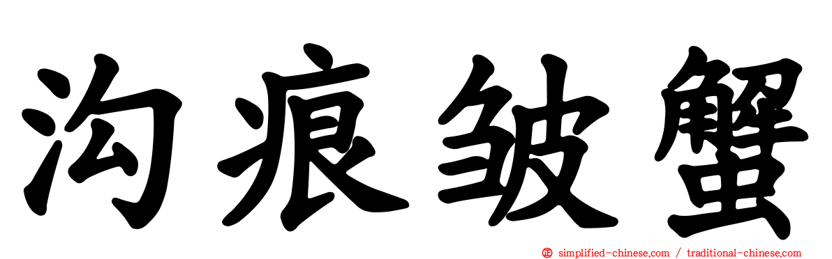 沟痕皱蟹