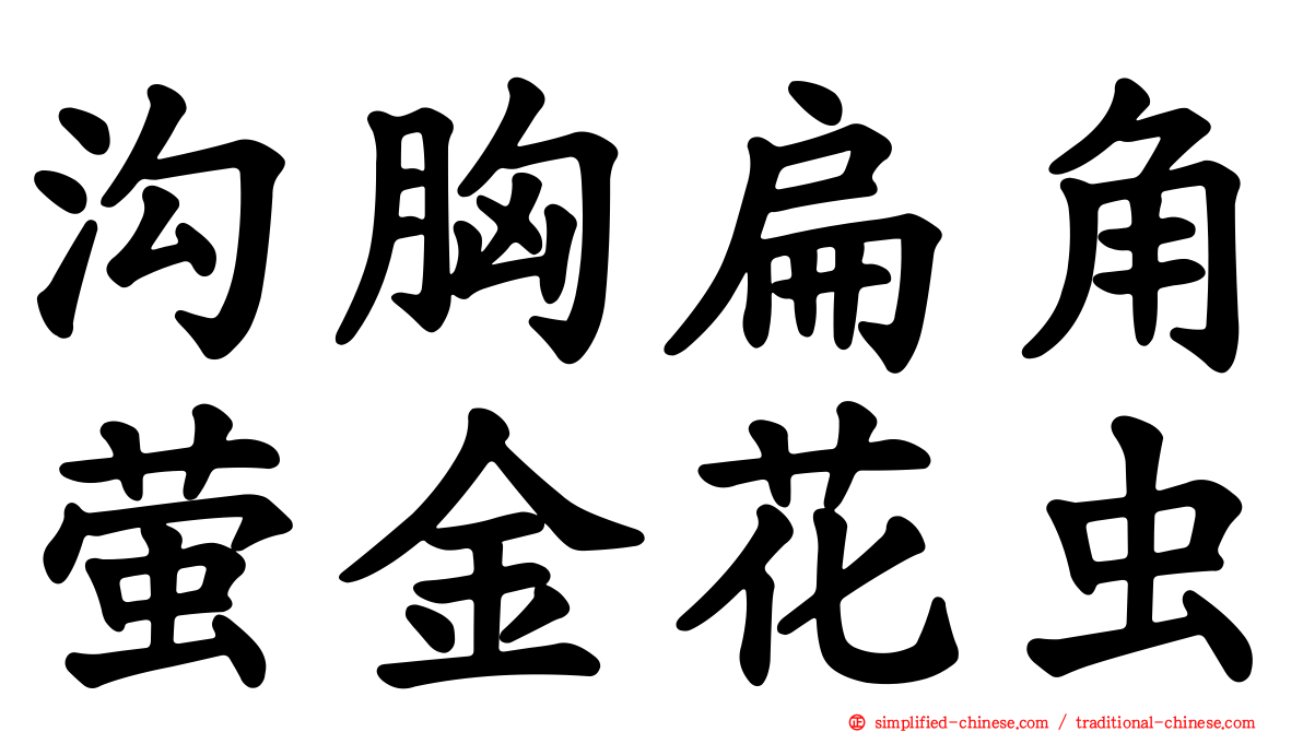沟胸扁角萤金花虫