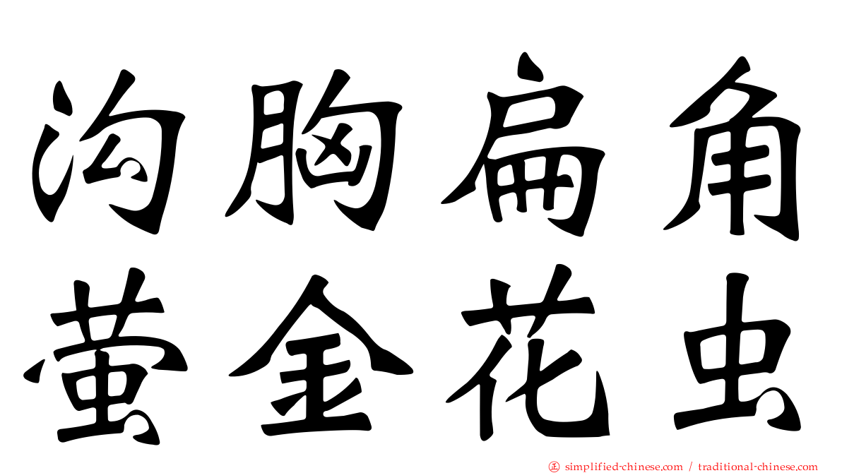 沟胸扁角萤金花虫