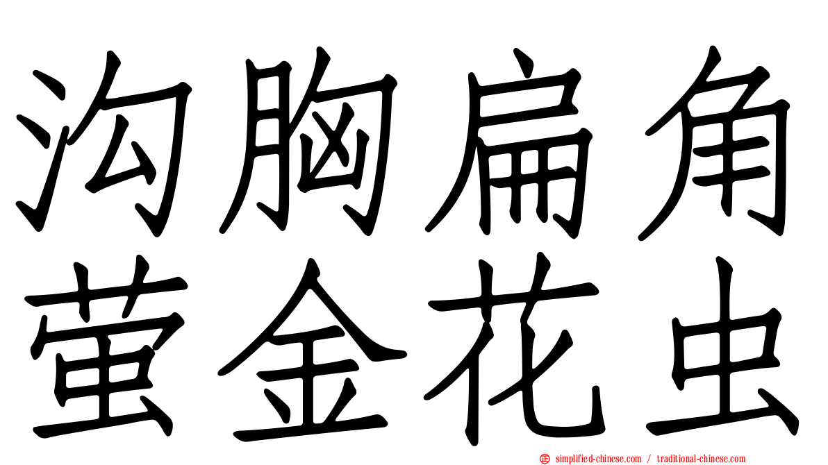 沟胸扁角萤金花虫