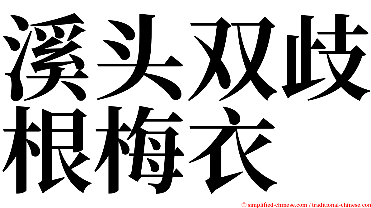 溪头双歧根梅衣 serif font