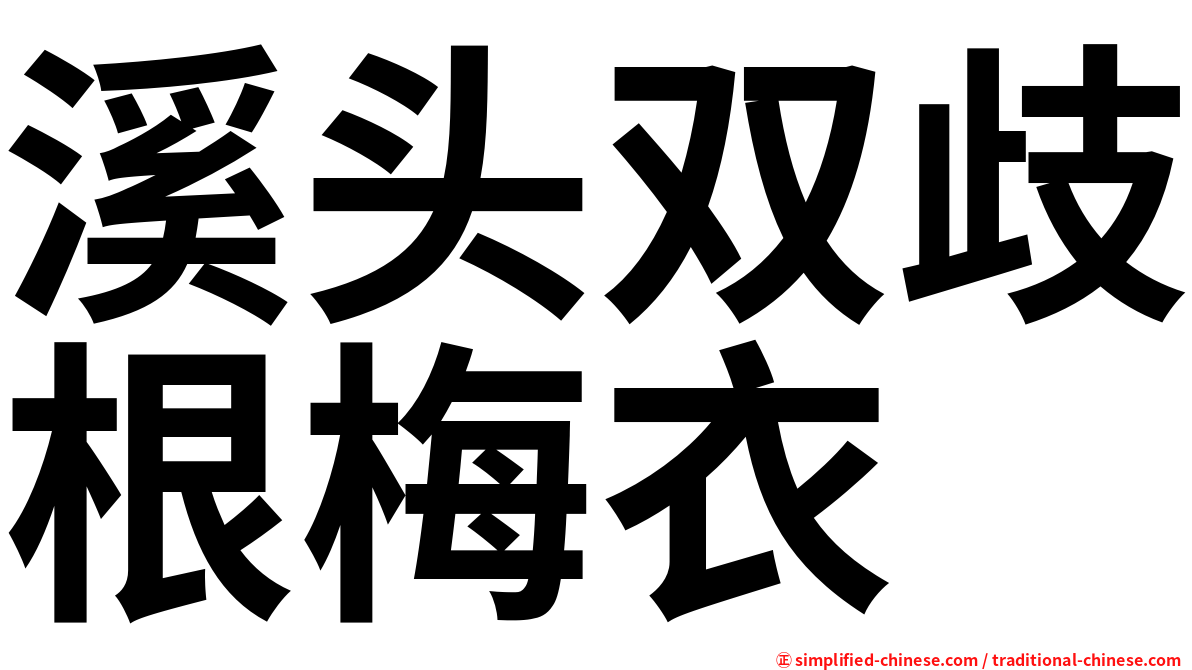 溪头双歧根梅衣