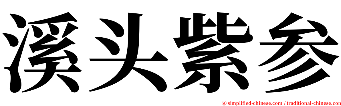 溪头紫参 serif font