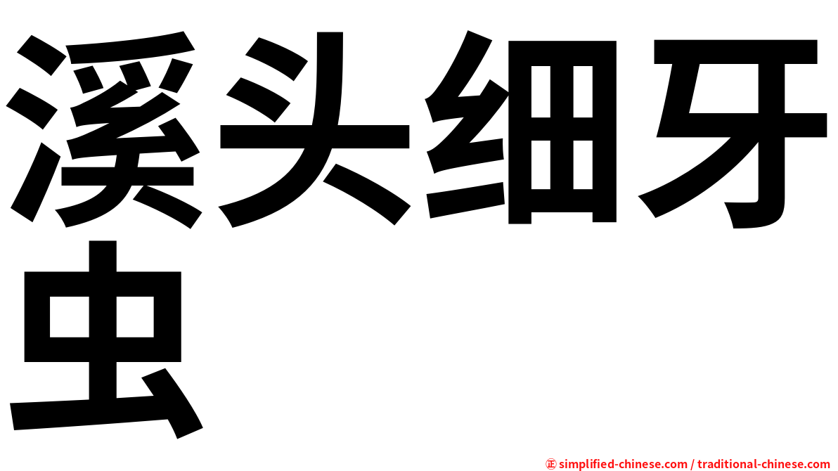 溪头细牙虫