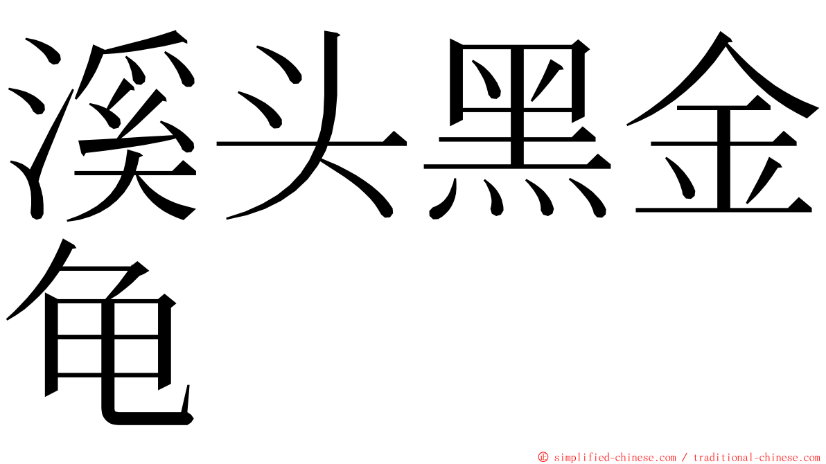 溪头黑金龟 ming font