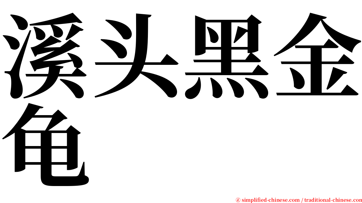 溪头黑金龟 serif font
