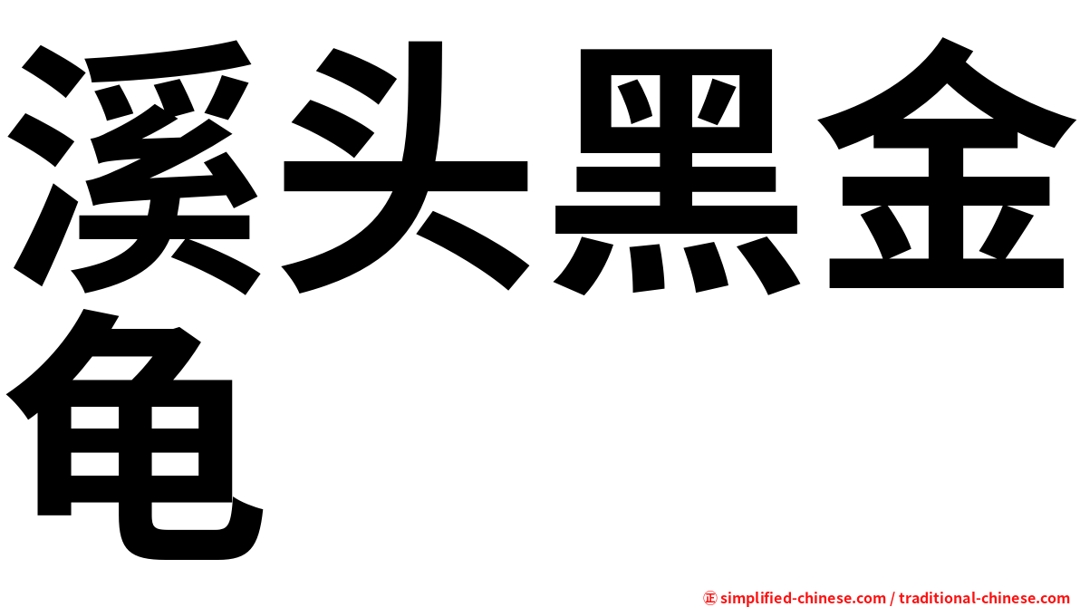 溪头黑金龟