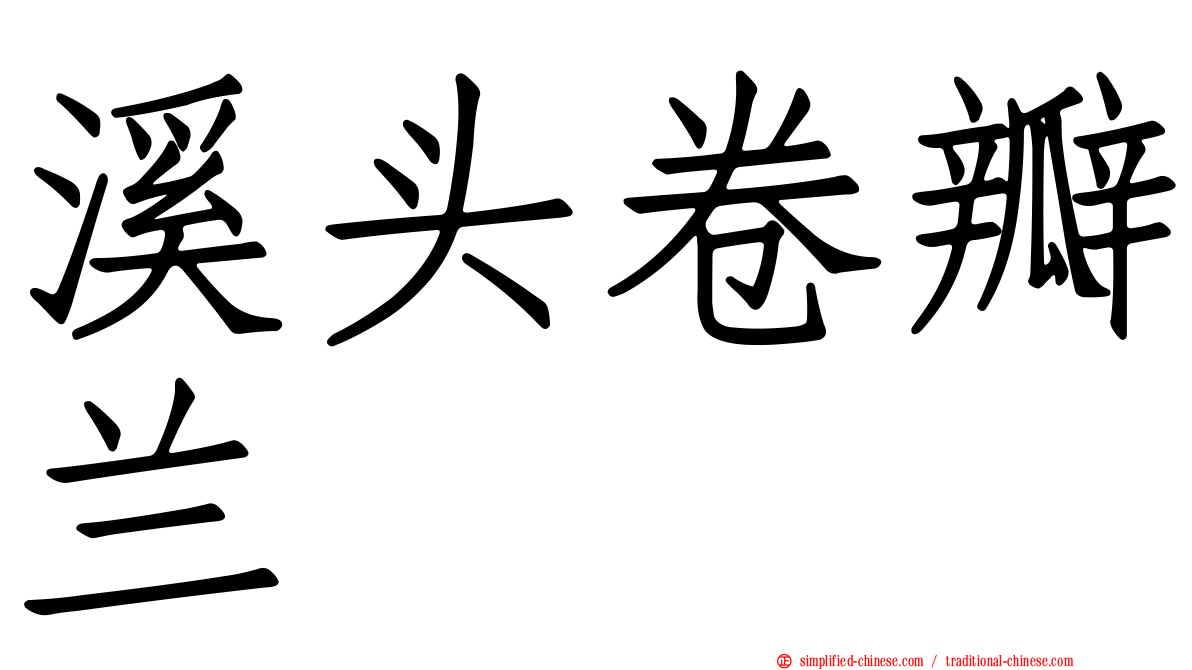 溪头卷瓣兰