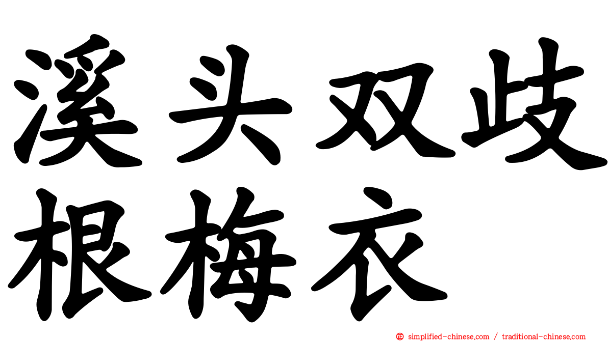 溪头双歧根梅衣