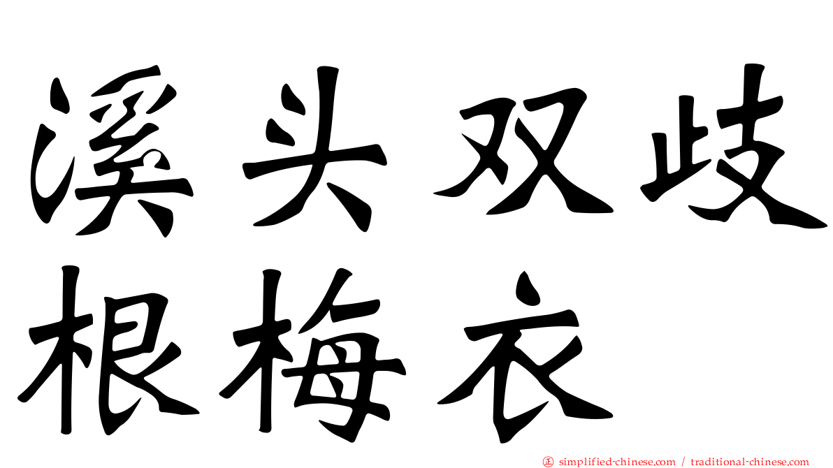 溪头双歧根梅衣