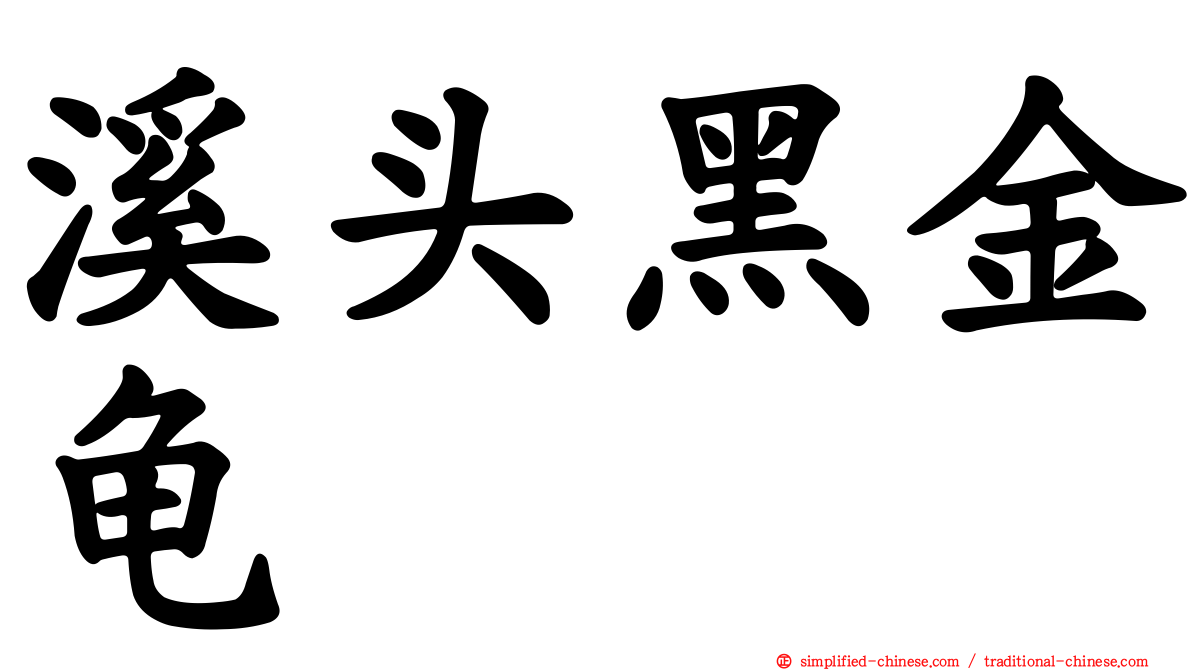 溪头黑金龟