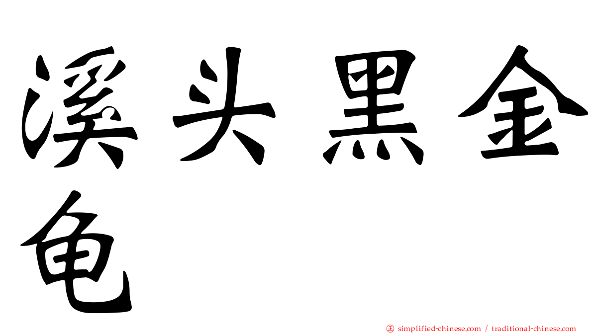 溪头黑金龟