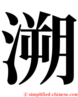 溯 serif font