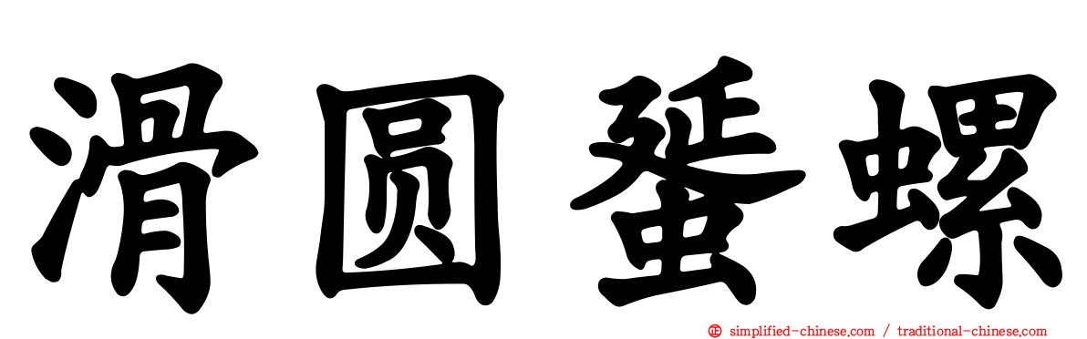 滑圆蜑螺