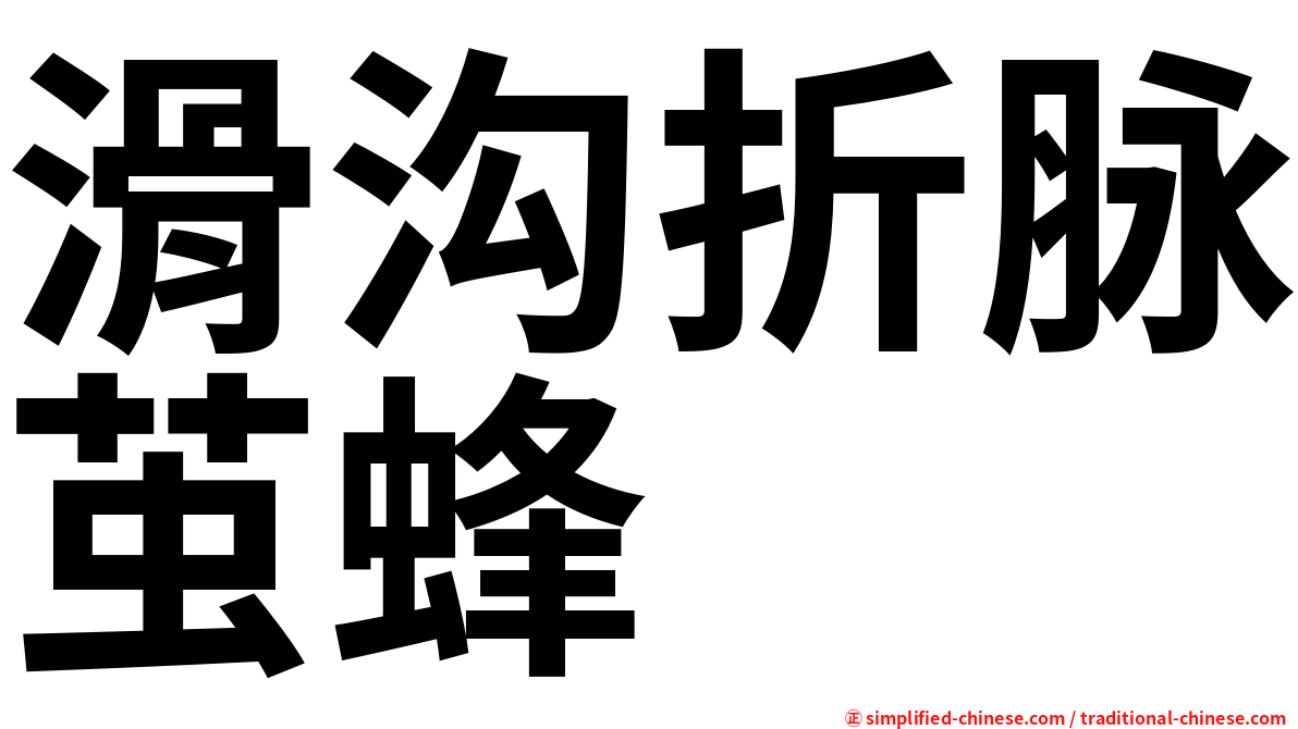 滑沟折脉茧蜂