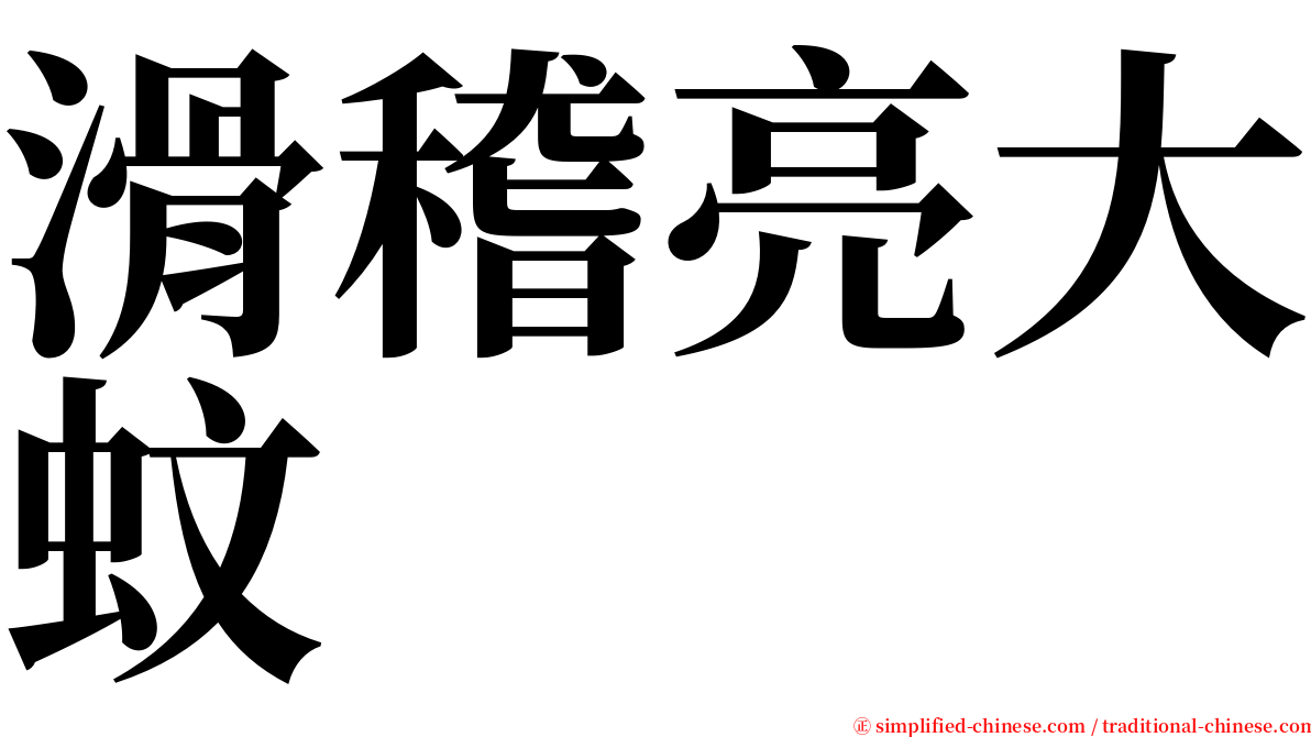 滑稽亮大蚊 serif font