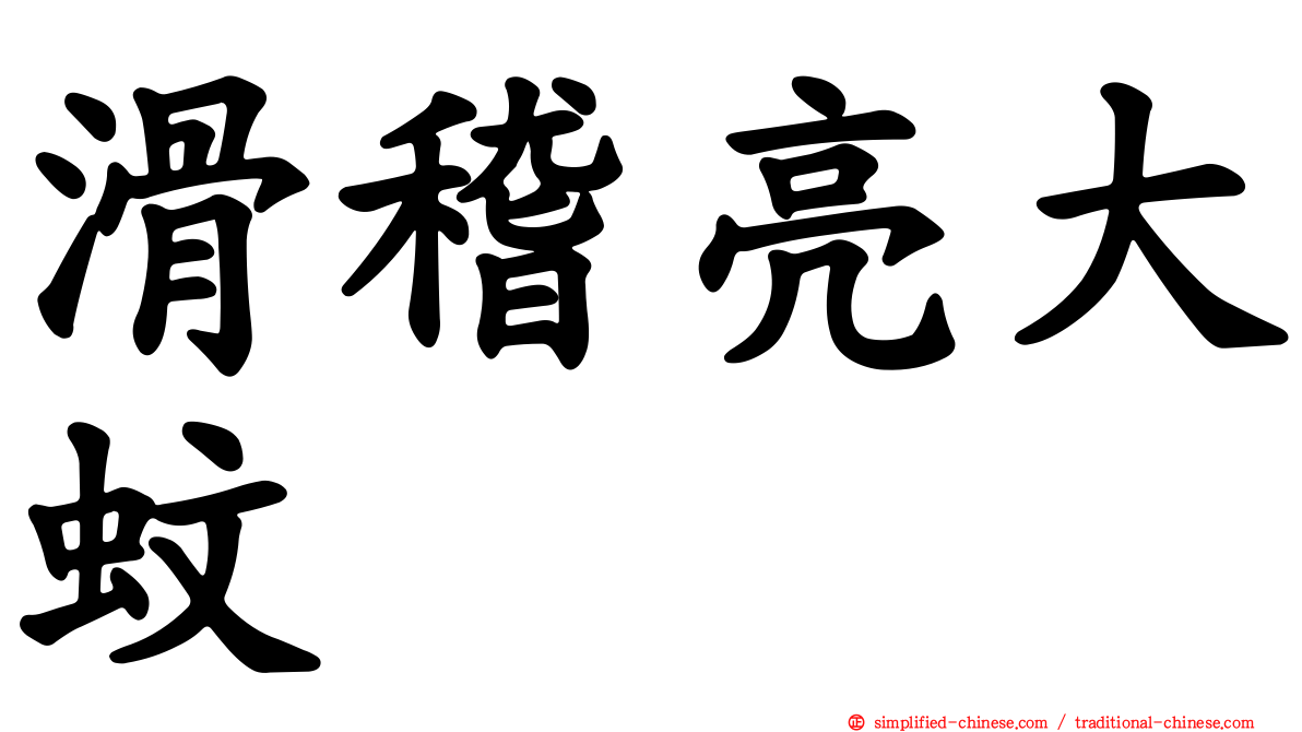 滑稽亮大蚊