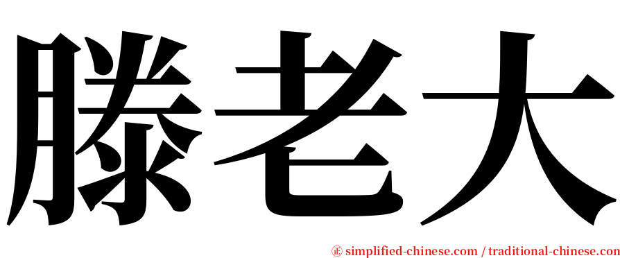 滕老大 serif font
