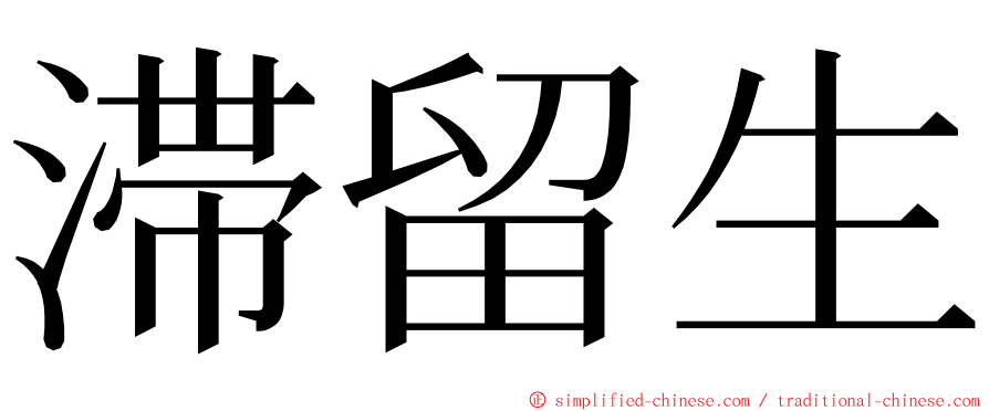滞留生 ming font