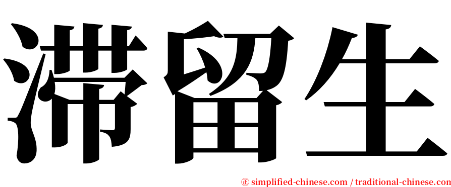 滞留生 serif font