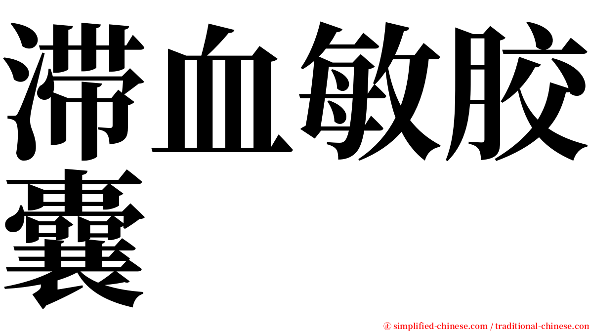 滞血敏胶囊 serif font