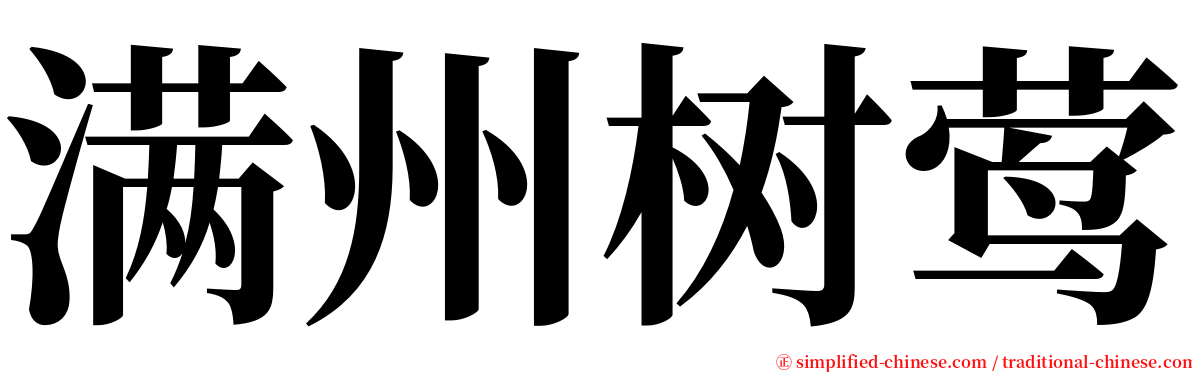 满州树莺 serif font