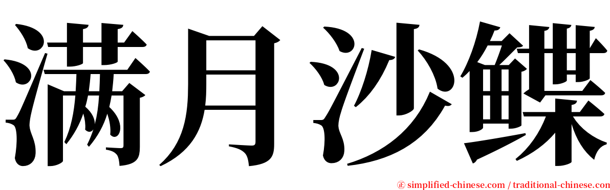 满月沙鲽 serif font