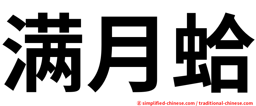 满月蛤