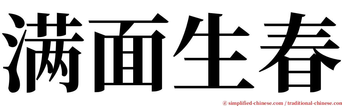 满面生春 serif font