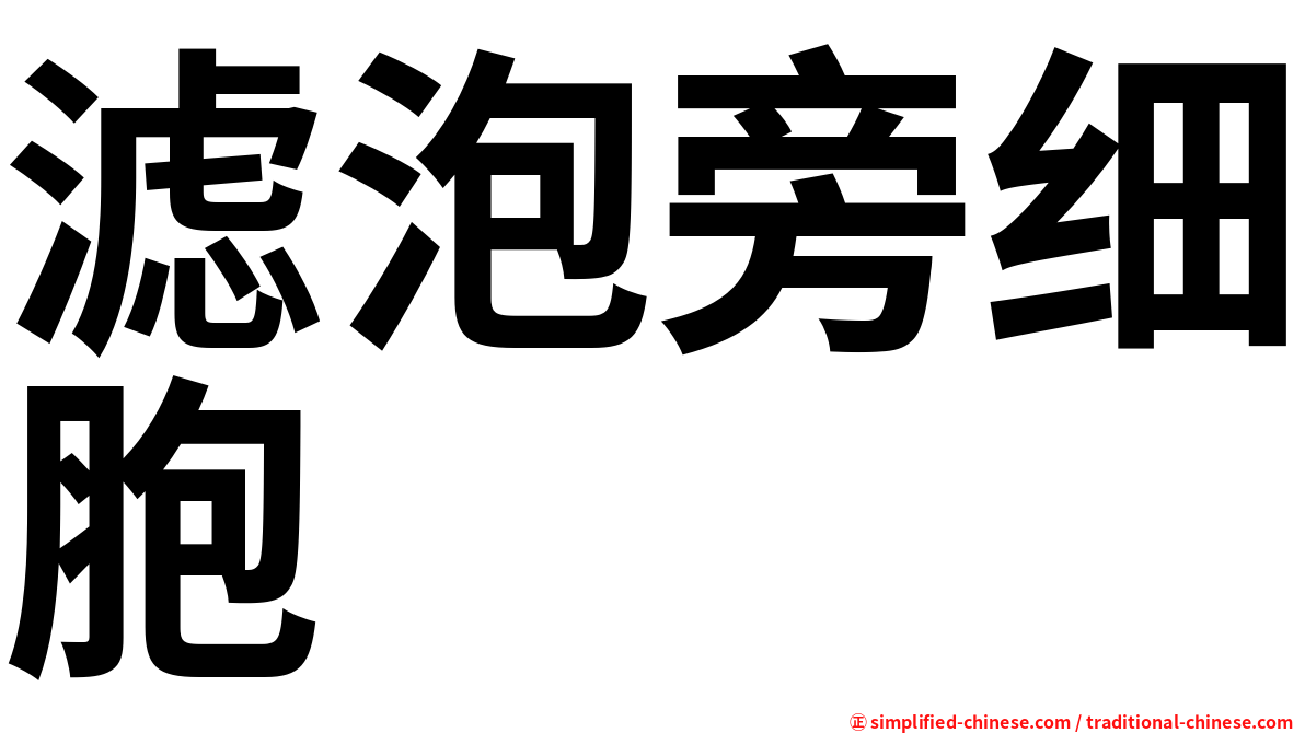 滤泡旁细胞
