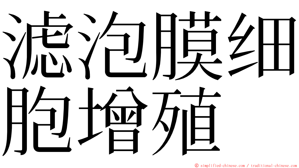 滤泡膜细胞增殖 ming font