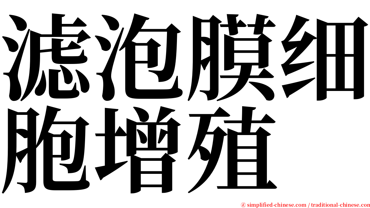滤泡膜细胞增殖 serif font