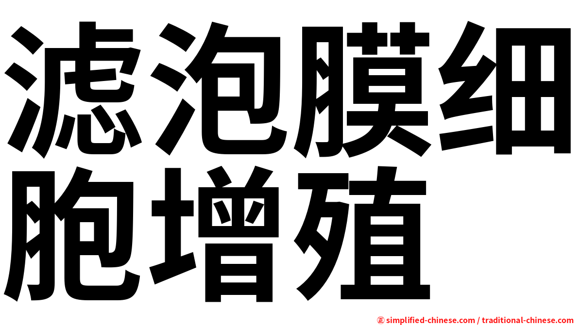 滤泡膜细胞增殖