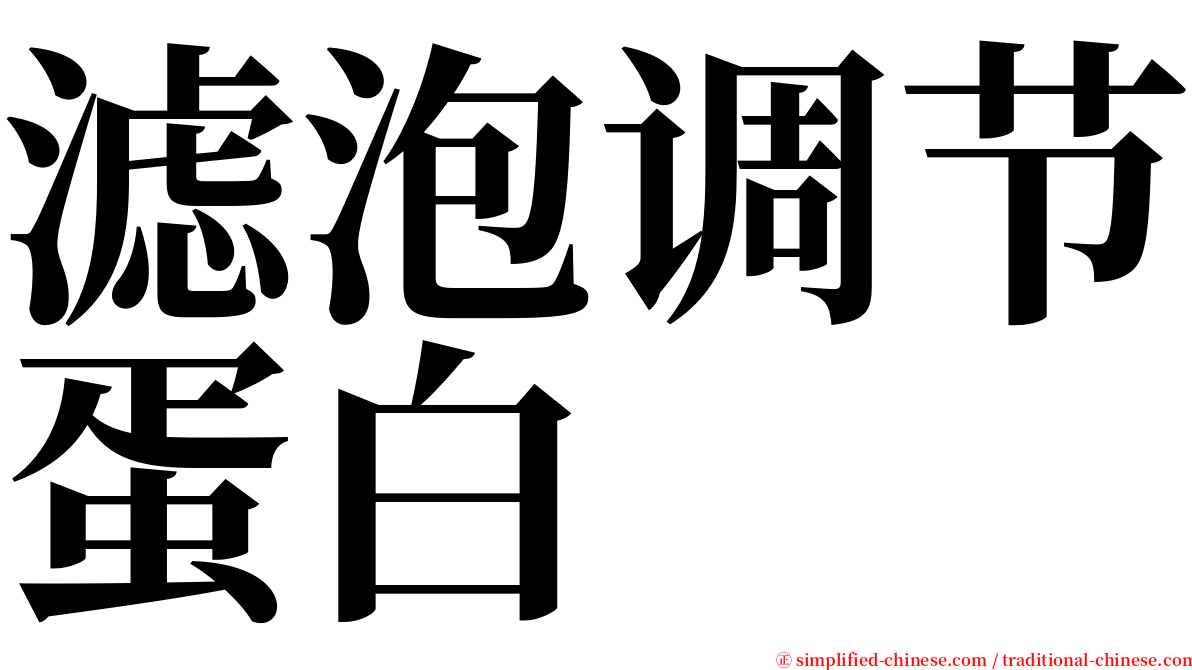 滤泡调节蛋白 serif font