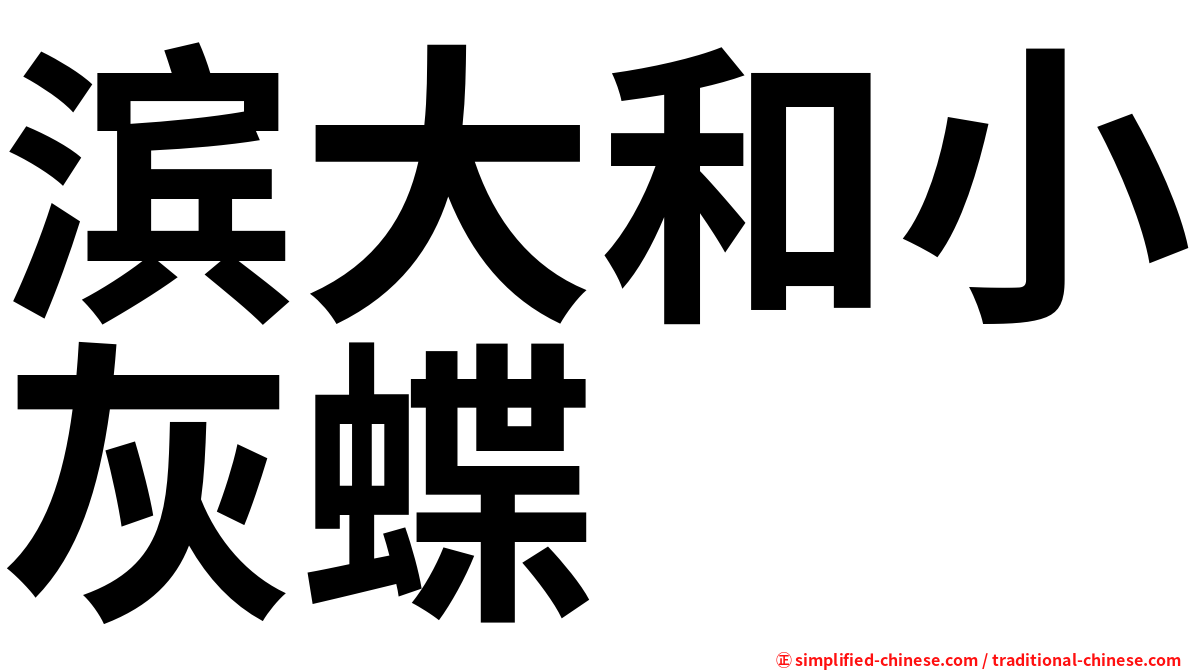 滨大和小灰蝶