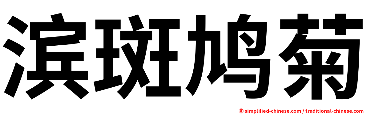 滨斑鸠菊