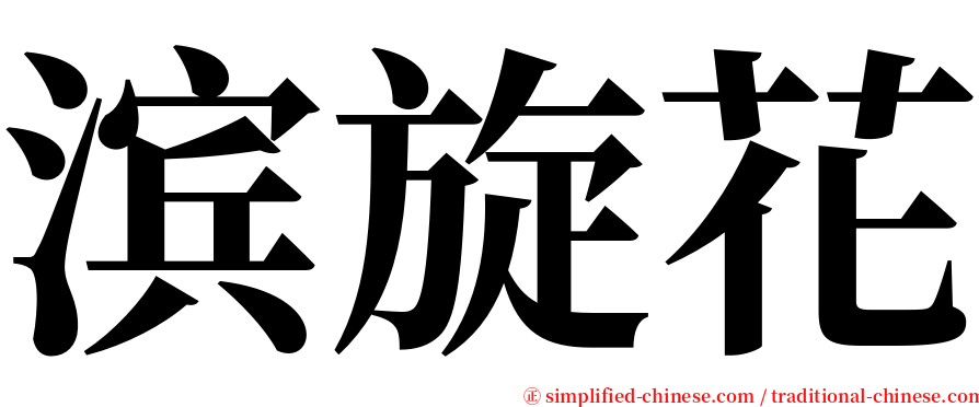 滨旋花 serif font