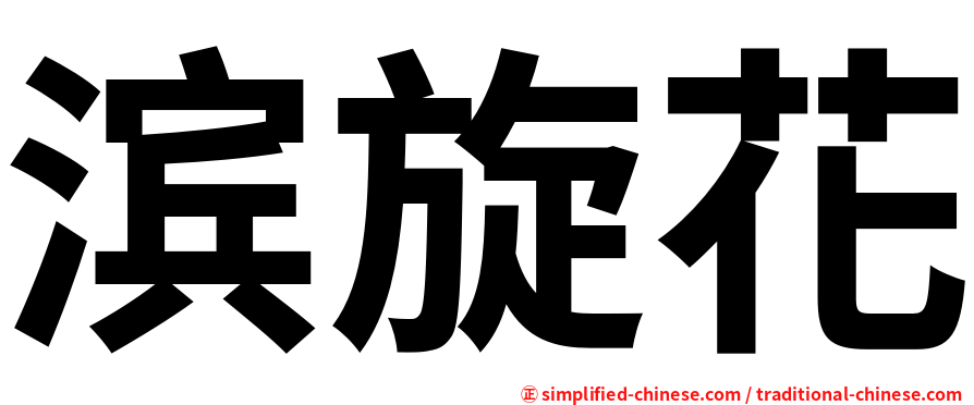 滨旋花