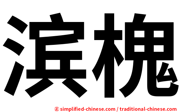 滨槐