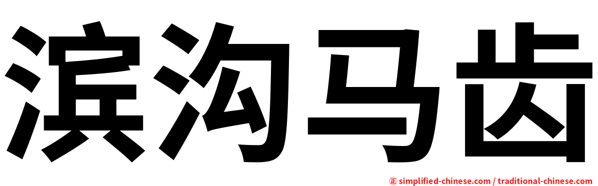 滨沟马齿